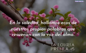 En la soledad, hallamos ecos de nuestras propias palabras que resuenan con la voz del alma.